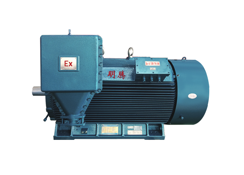 TYBCX系列廠用隔爆型高壓超高效三相永磁同步電動機(jī)（6kV hH355-560）
